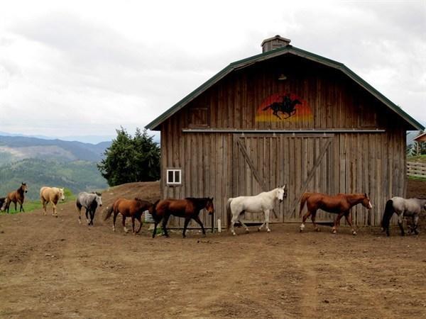 Bull Hill Guest Ranch 호텔 Marble 외부 사진