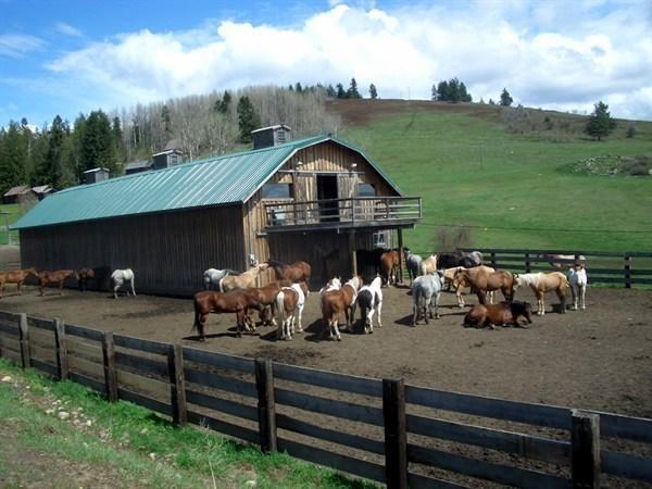 Bull Hill Guest Ranch 호텔 Marble 외부 사진